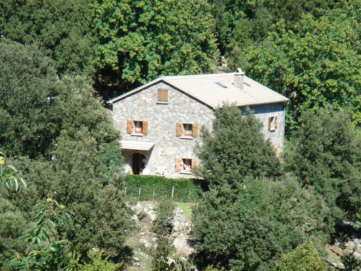 Santo-Pietro-di-Venaco Chambre D'Hote "Chez Antoinette Et Charles" מראה חיצוני תמונה