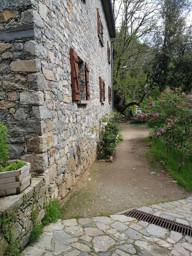 Santo-Pietro-di-Venaco Chambre D'Hote "Chez Antoinette Et Charles" מראה חיצוני תמונה